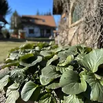 Villa Ostoja Jeziorak Jezierzyce