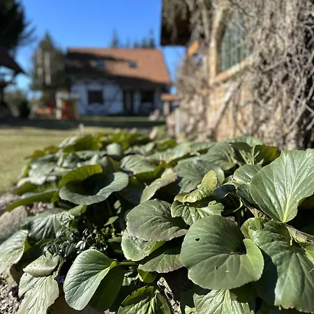 Villa Ostoja Jeziorak Jezierzyce