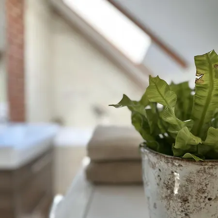 Ostoja Jeziorak Jezierzyce *