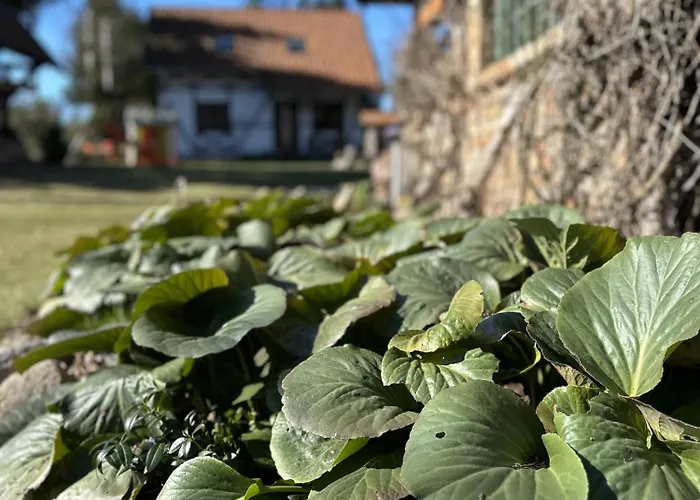 Vila Ostoja Jeziorak Jezierzyce