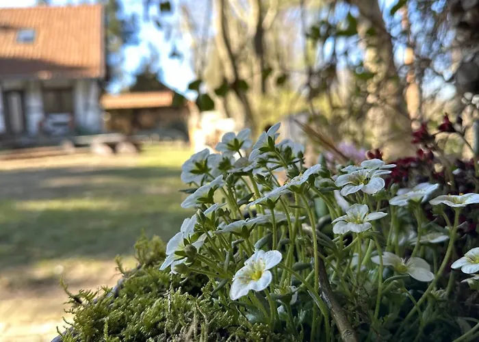 Ostoja Jeziorak Jezierzyce *