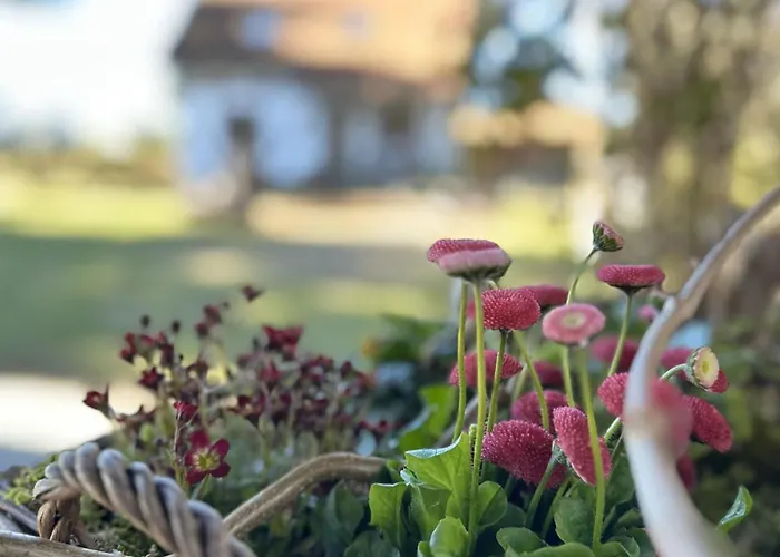 Ostoja Jeziorak Jezierzyce