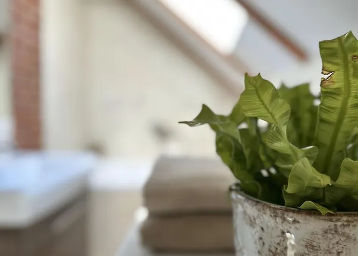 Ostoja Jeziorak Jezierzyce *