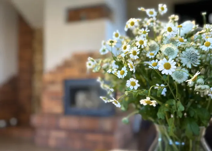 Vila Ostoja Jeziorak Jezierzyce